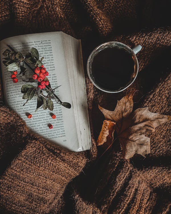Książka z gałązką jarzębiny, kubek z herbatą oraz jesienny liść na tle brązowej dzianiny