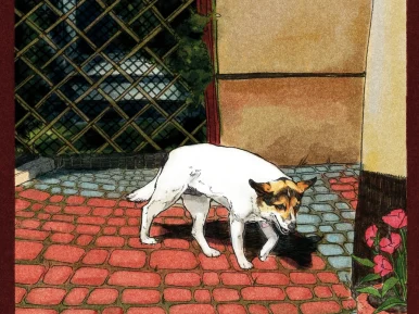 Niunia sobie dreptania