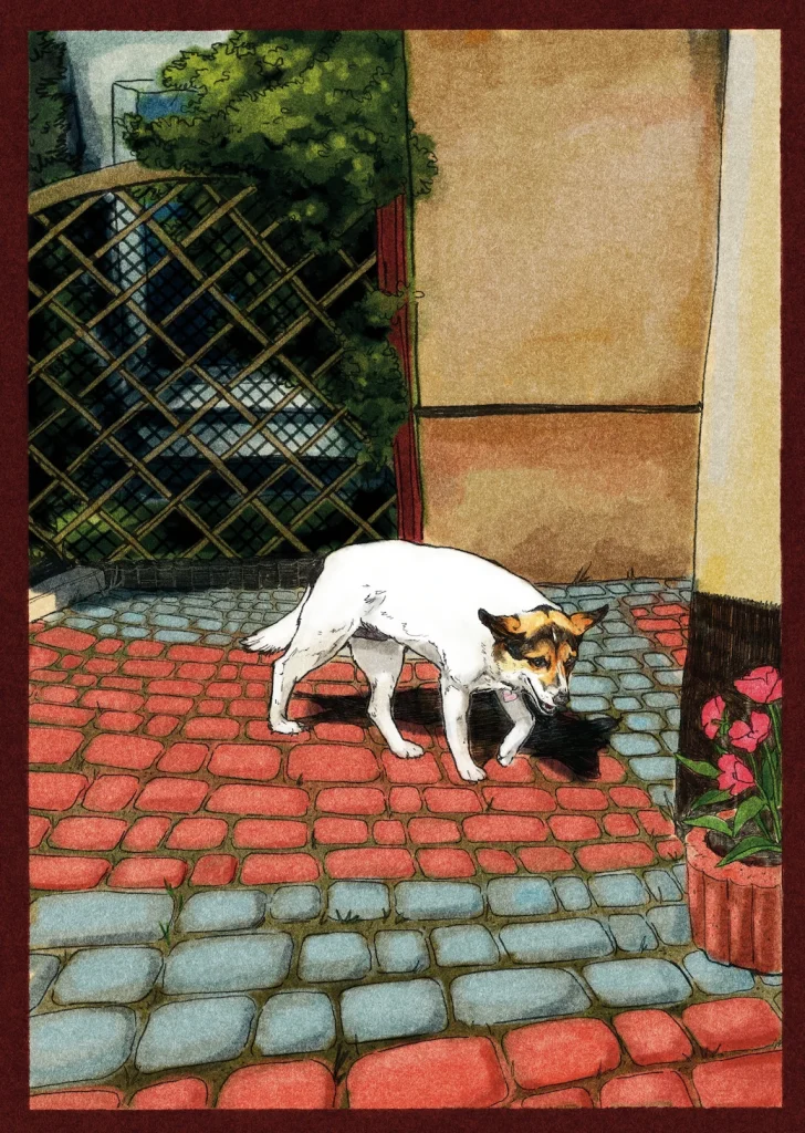 Niunia sobie dreptania