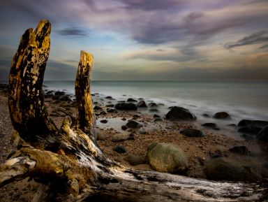 Na fotografii widać kamieniste wybrzeże, dzika plaża pełna dużych kamieni. Widać też połamane drzewa i leżące konary. Niebo zachmurzone.