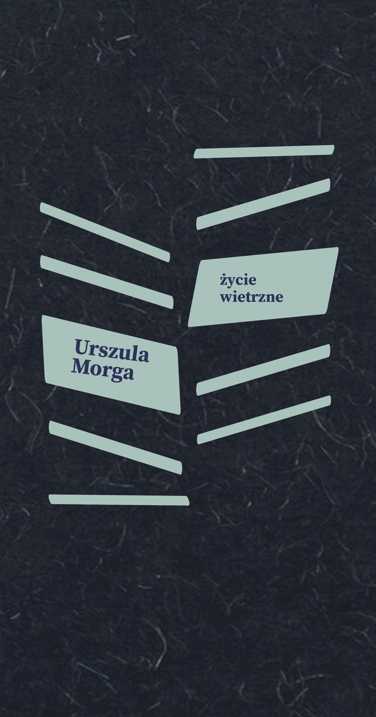 https://wbpg.org.pl/wp-content/uploads/2026/05/okladka_zycie_wietrzne-proj.-aut.-Barbara-Bugalska-1.jpg
