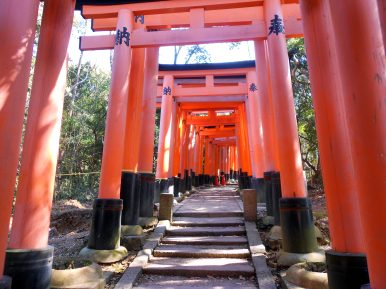 Zdjęcie przedstawia świątynię Fushimi Inari w Kioto