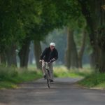 Marek Stokowski jadący na rowerze drogą - aleją z drzewami.