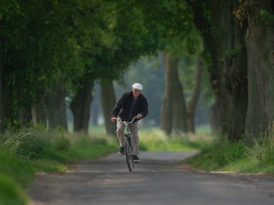 Marek Stokowski jadący na rowerze drogą - aleją z drzewami.
